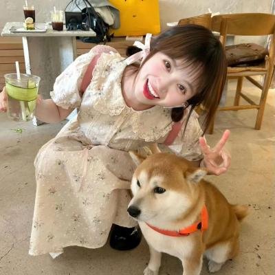 看狗在说话之旧金山历险记